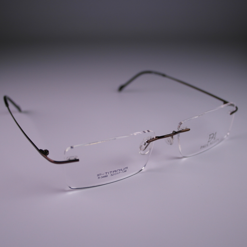 Paul Allen - 3468 C210 BRONZ